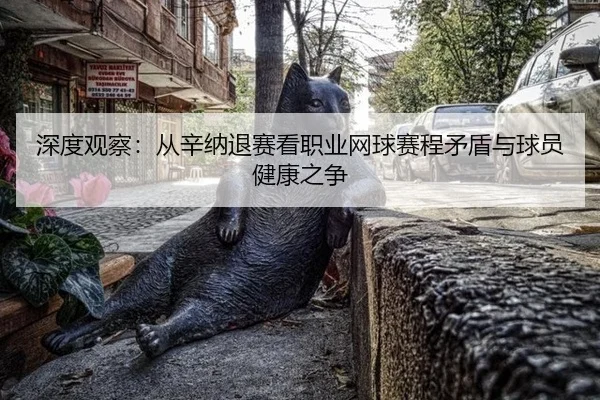 shen-du-guan-cha-cong-xin-na-tui-sai-kan-zhi-ye-wang-qiu-sai-cheng-mao-dun-yu-qiu-yuan-jian-kang-zhi-zheng-2-891.jpg
